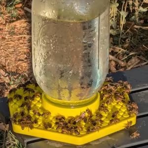 The Bee Bar in use with bees feeding